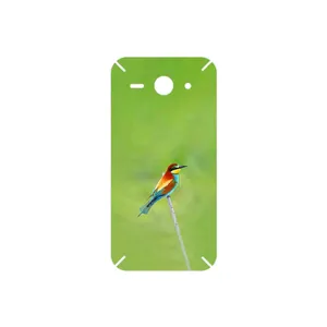 MAHOOT European bee-eater Cover Sticker for Huawei Ascend Y530