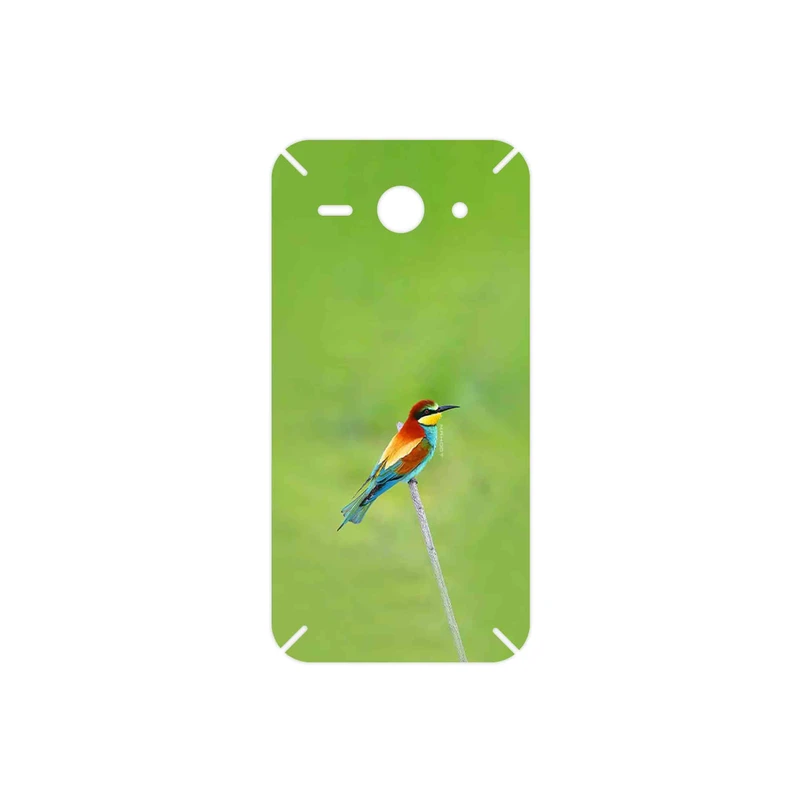 برچسب پوششی ماهوت مدل European bee-eater مناسب برای گوشی موبایل هوآوی Ascend Y530