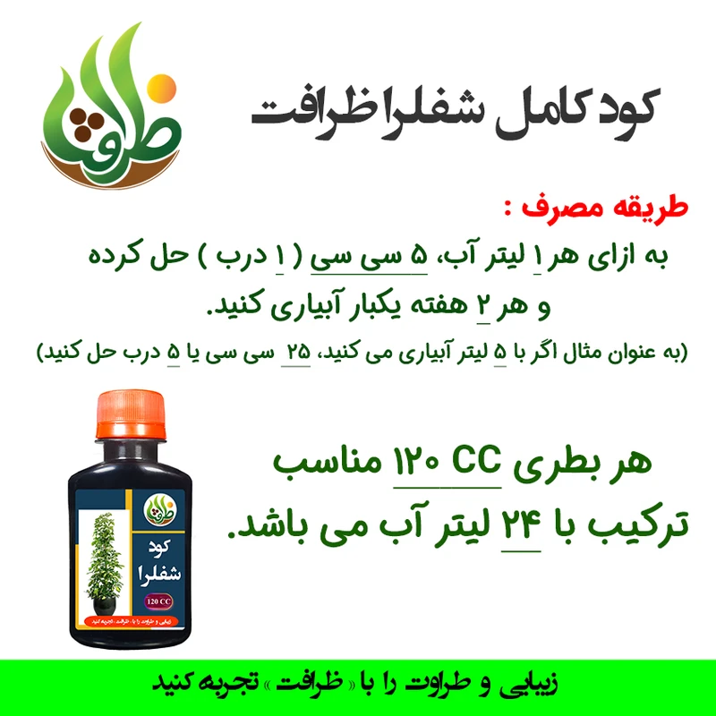 عکس شماره 3