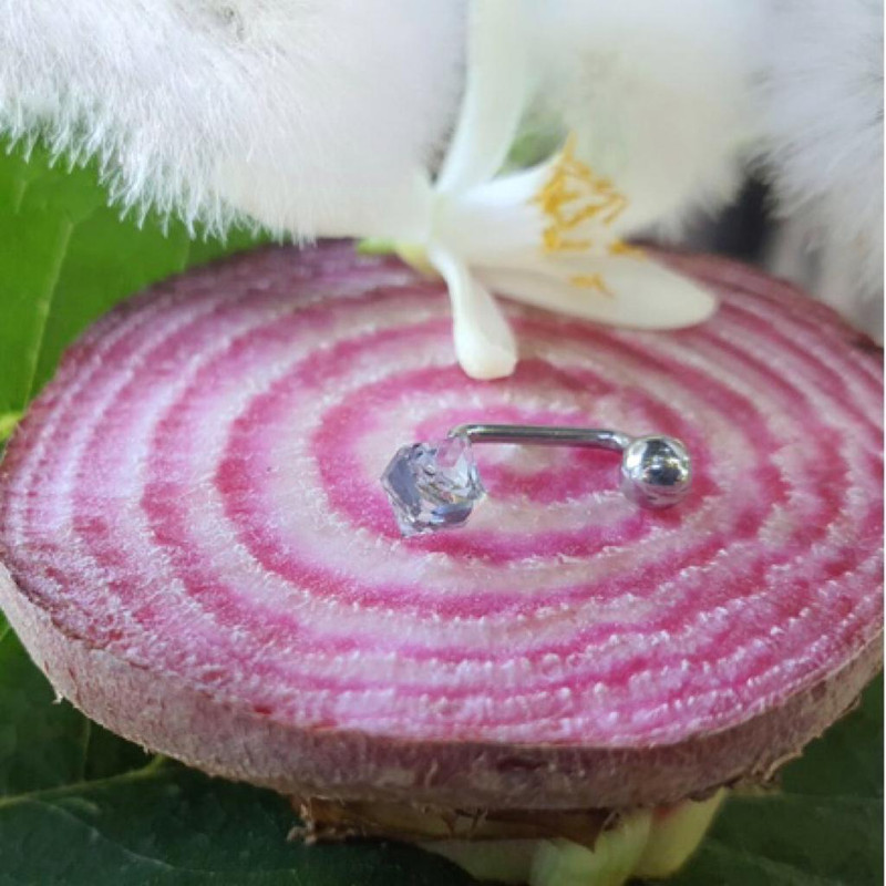 پیرسینگ گوش زنانه پایتخت مدل PS237__N