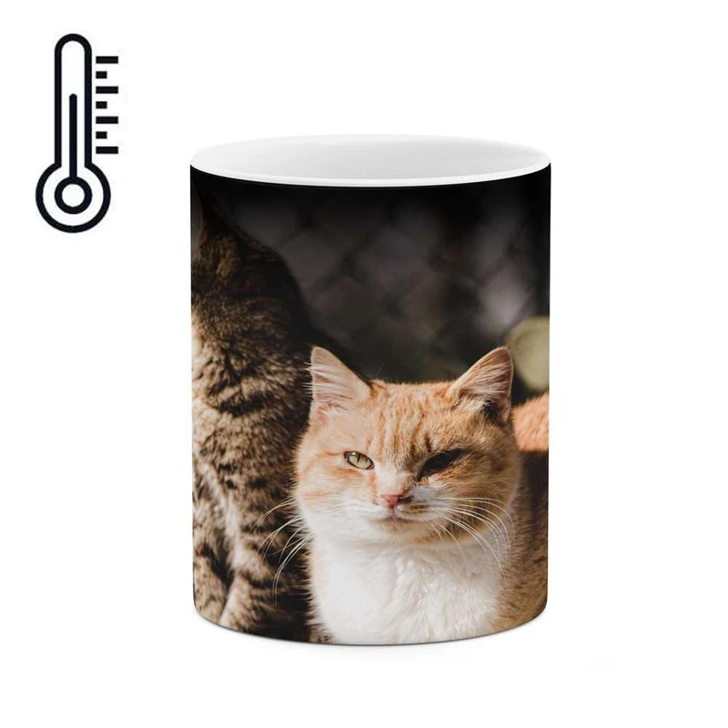 ماگ حرارتی کاکتی مدل گربه کد mgh17362