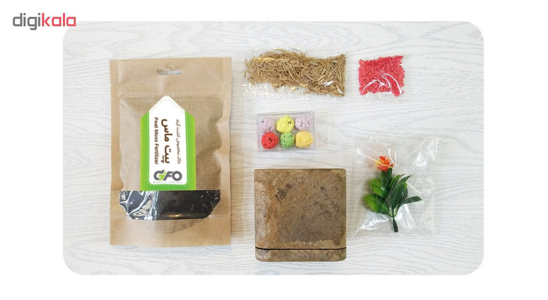 مجموعه بذر گل گیفو مدل G03