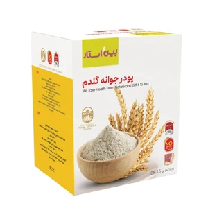 پودر جوانه گندم بین استار-375 گرم