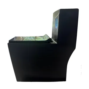 توالت فرنگی دو زمانه آداسا مدل فایتر