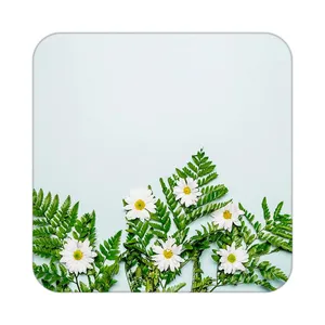 زیر لیوانی کاکتی طرح گل مدل mp19682