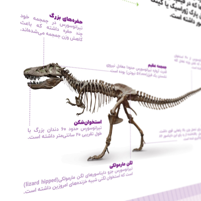 پوستر آموزشی طرح دایناسور تیرانوسورس مدل کودک KD2