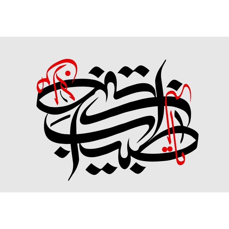 مگنت مدل یا طبیب من لا طبیب T3480 