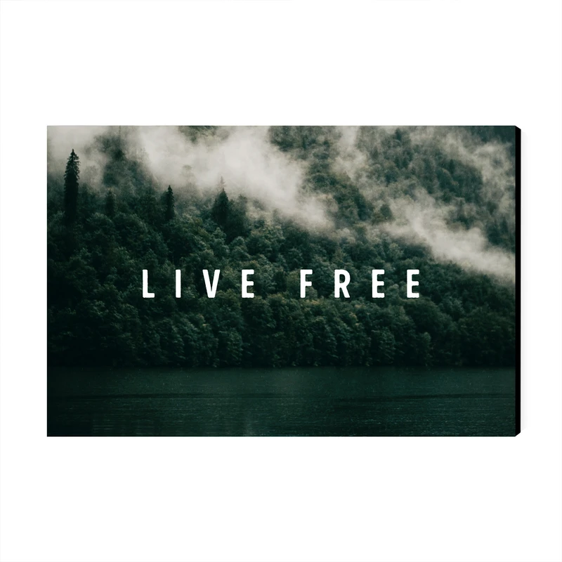 تابلو شاسی عرش مدل فانتزی نوشته انگیزشی Live Free کد As1986