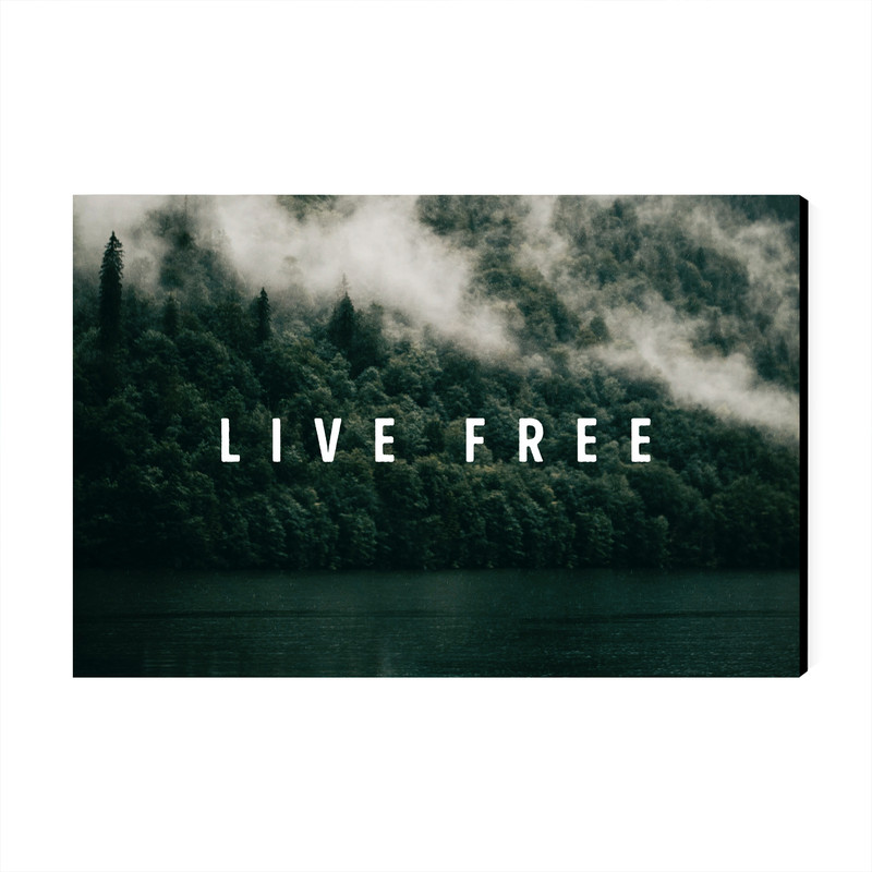 تابلو شاسی عرش مدل فانتزی نوشته انگیزشی Live Free کد As1986