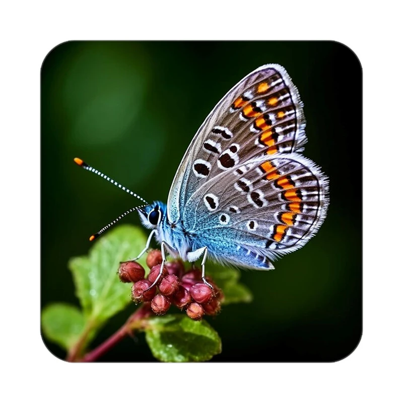 زیر لیوانی کاکتی طرح گل مدل mp16623