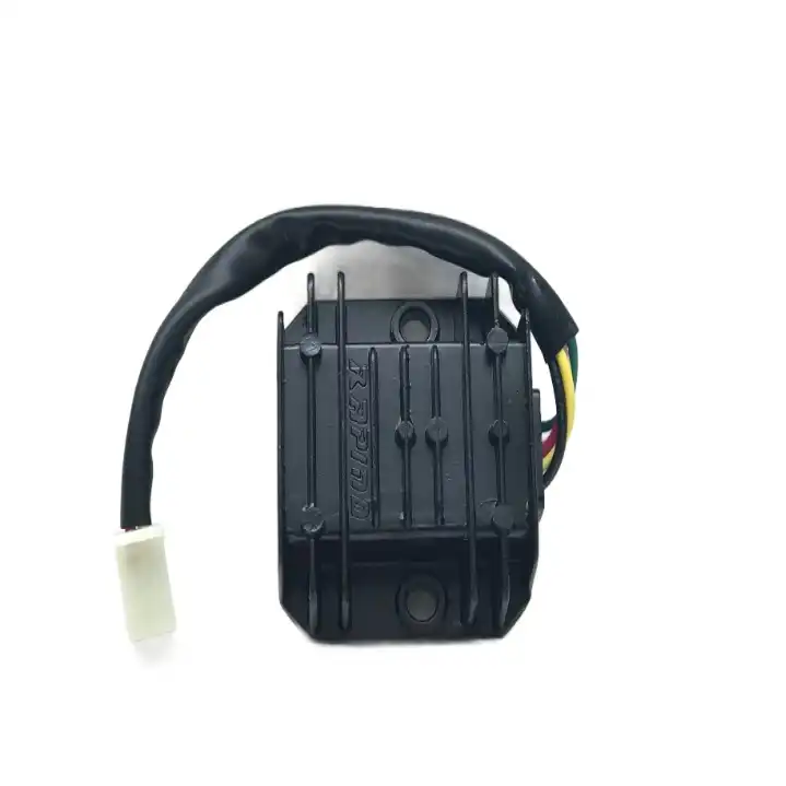 شارژر باتری موتور سیکلت راپیدو مدل R125GB