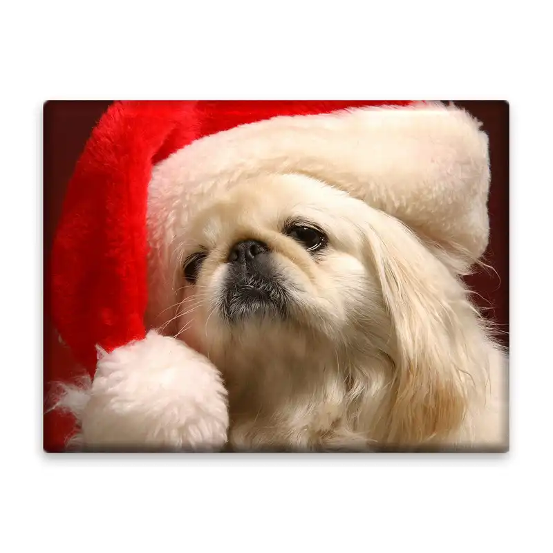 کاشی اطلس آبی  طرح سگ مدل T5862