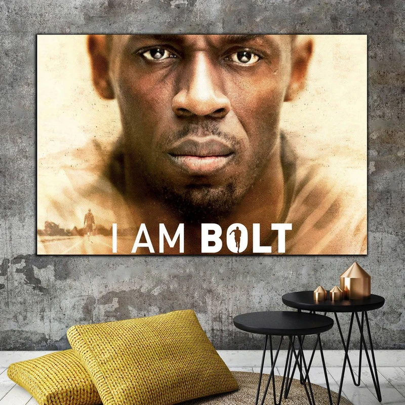 تابلو شاسی بکلیت طرح فیلم من بولت هستم مدل SH-S3953