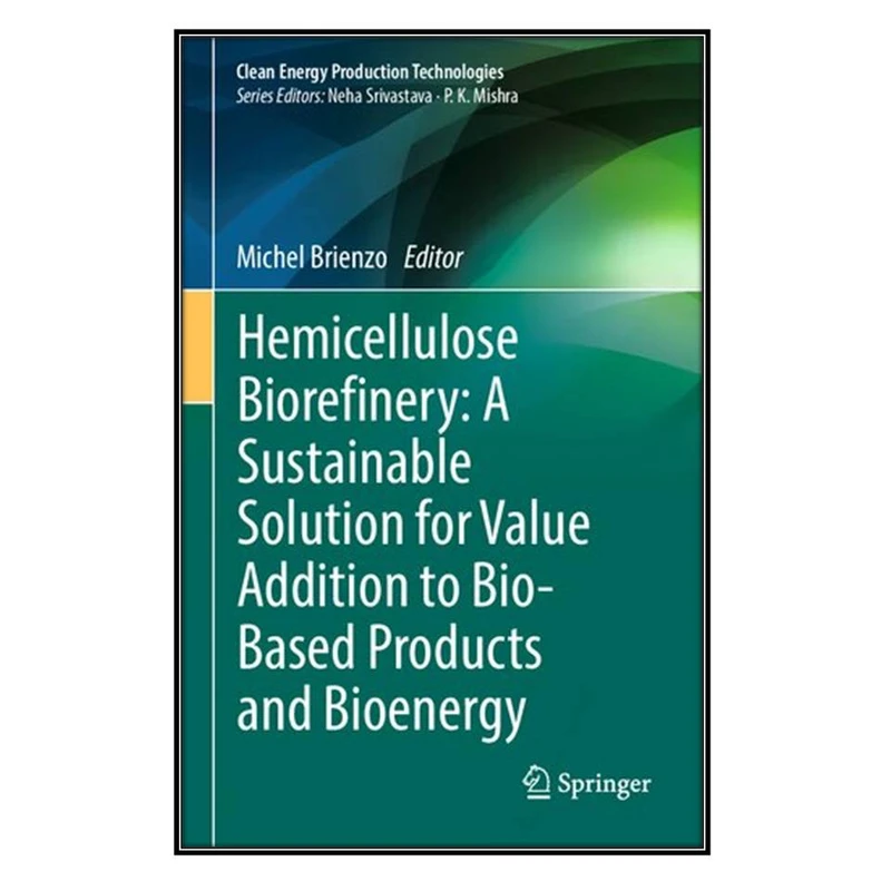 کتاب Hemicellulose Biorefinery اثر Michel Brienzo انتشارات مؤلفين طلايي