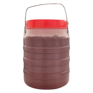 رب گوجه سالی پک - 4800 گرم