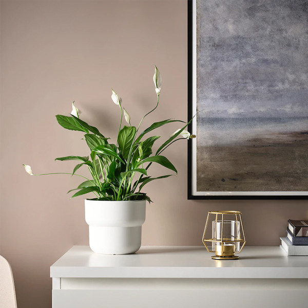 جاشمعی ایکیا مدل PÄRLBAND