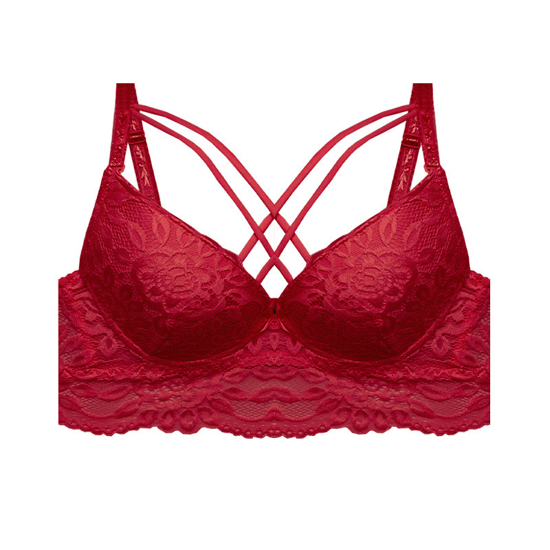 سوتین زنانه مدل اسفنجی دکلته هارنس دوبل گیپور جکدار کاپ B کد 685795