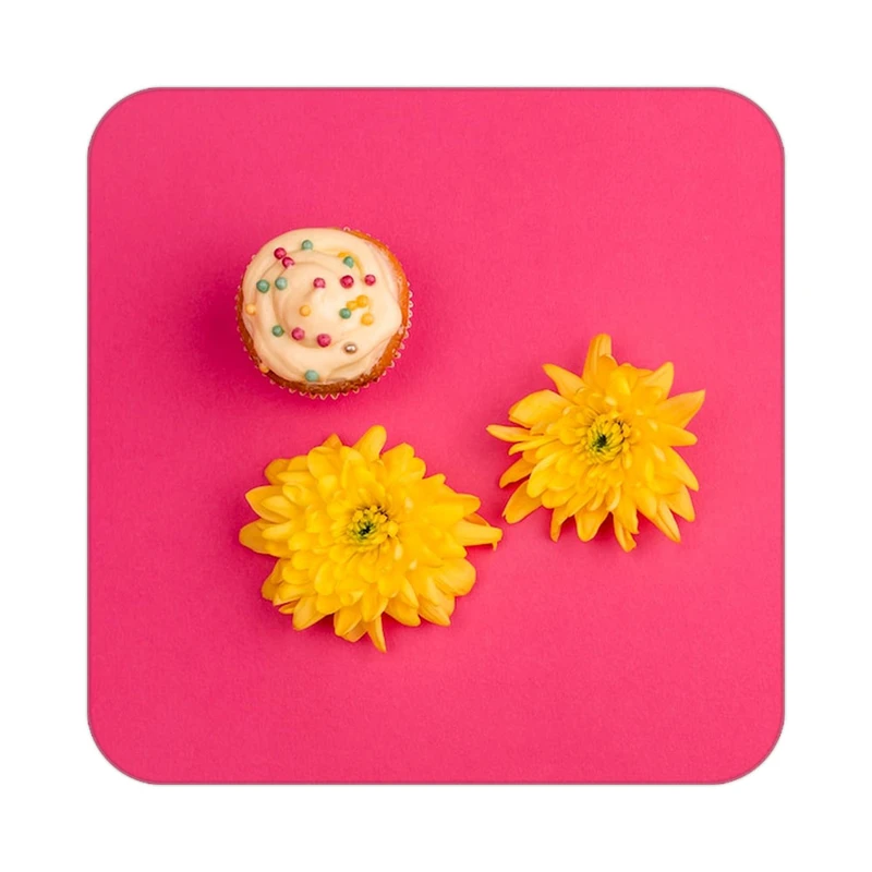 زیر لیوانی کاکتی طرح گل مدل mp18880