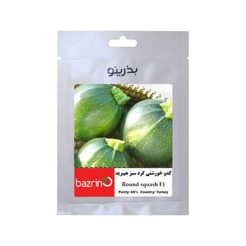 بذر کدو خورشتی گرد سبز F1  بذرینو کد BZNO-204