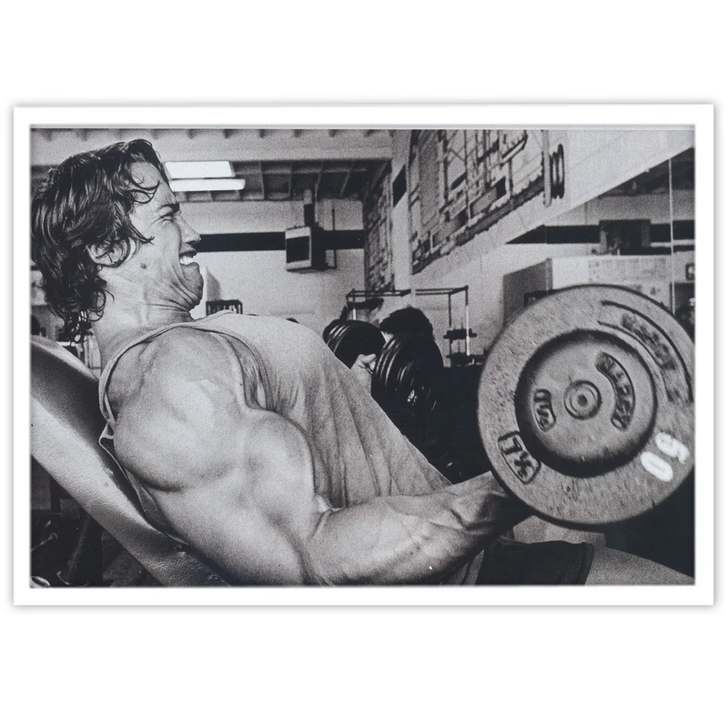 تابلو بکلیت طرح هالتر و ورزش بدنسازی آرنولد مدل W-S2441