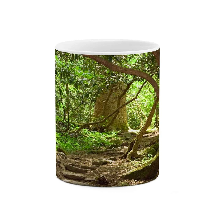 ماگ کاکتی مدل جنگل کد mgh10744