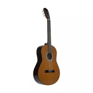 گیتار کلاسیک یونیک مدل C800 کد U1