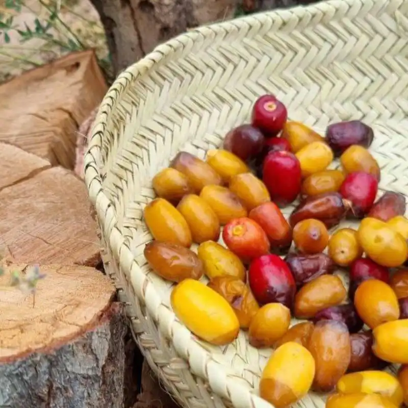 سبد حصیری طرح زمین کد H11W31