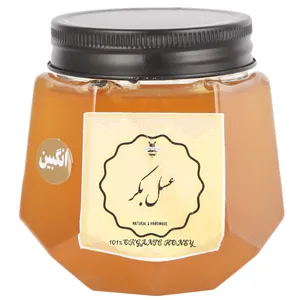 عسل انگبین عسل بکر - 450 گرم