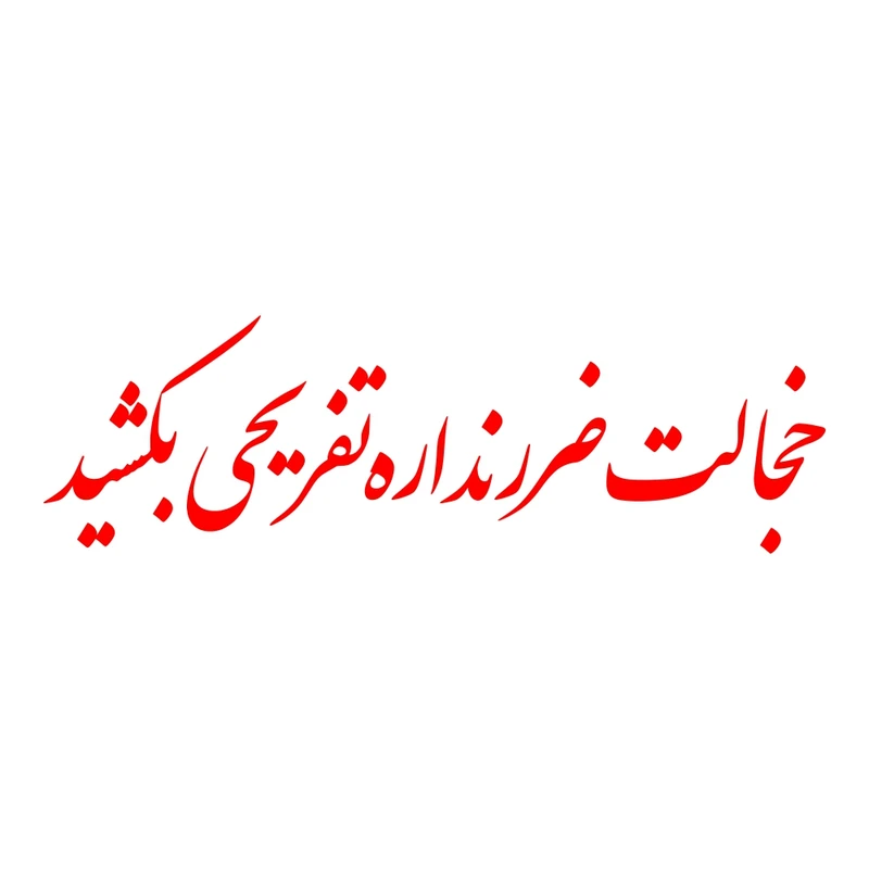 برچسب بدنه خودرو ماتریسیو طرح خجالت ضرر نداره تفریحی بکشید کد M-R338