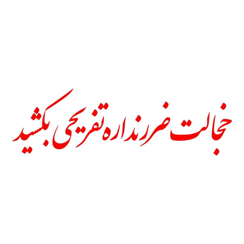 برچسب بدنه خودرو ماتریسیو طرح خجالت ضرر نداره تفریحی بکشید کد M-R338