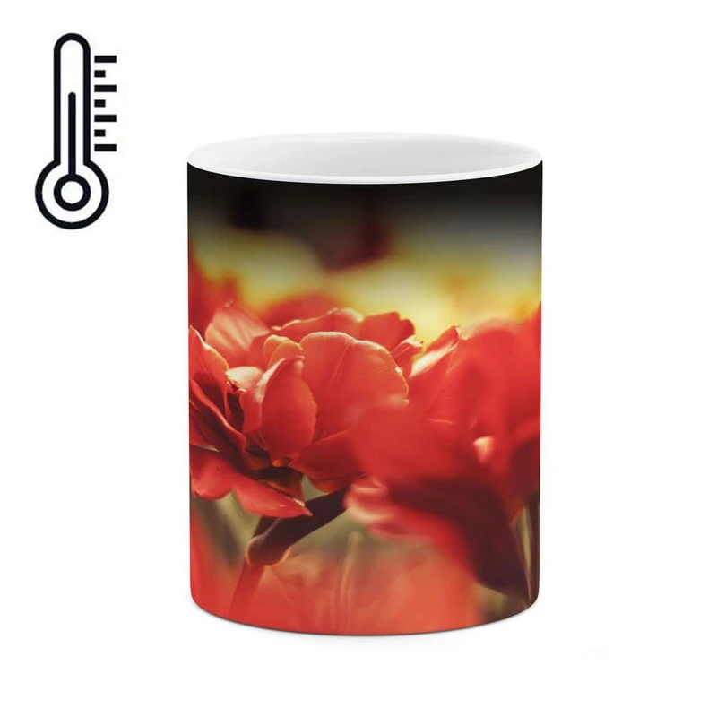 ماگ حرارتی کاکتی مدل گل کد mgh15924