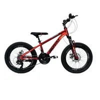 دوچرخه کوهستان مدل رویال ترمز دیسکی سایز طوقه 20 اینچ