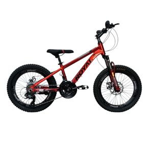 دوچرخه کوهستان مدل رویال ترمز دیسکی سایز طوقه 20 اینچ