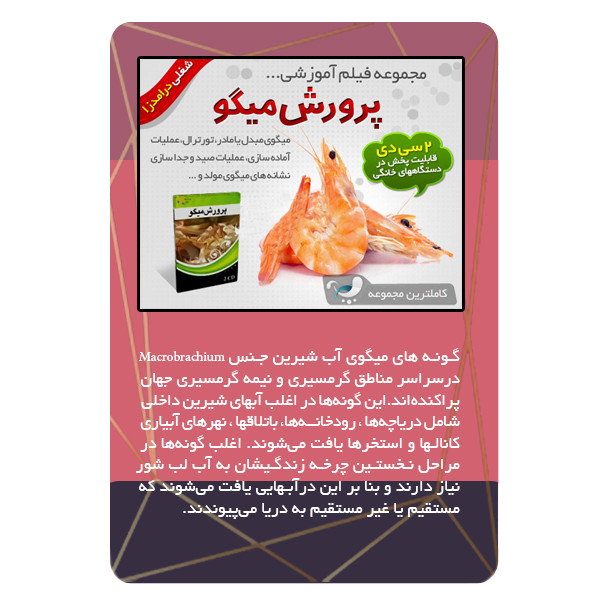 ویئو آموزش پرورش میگو نشر مبتکران