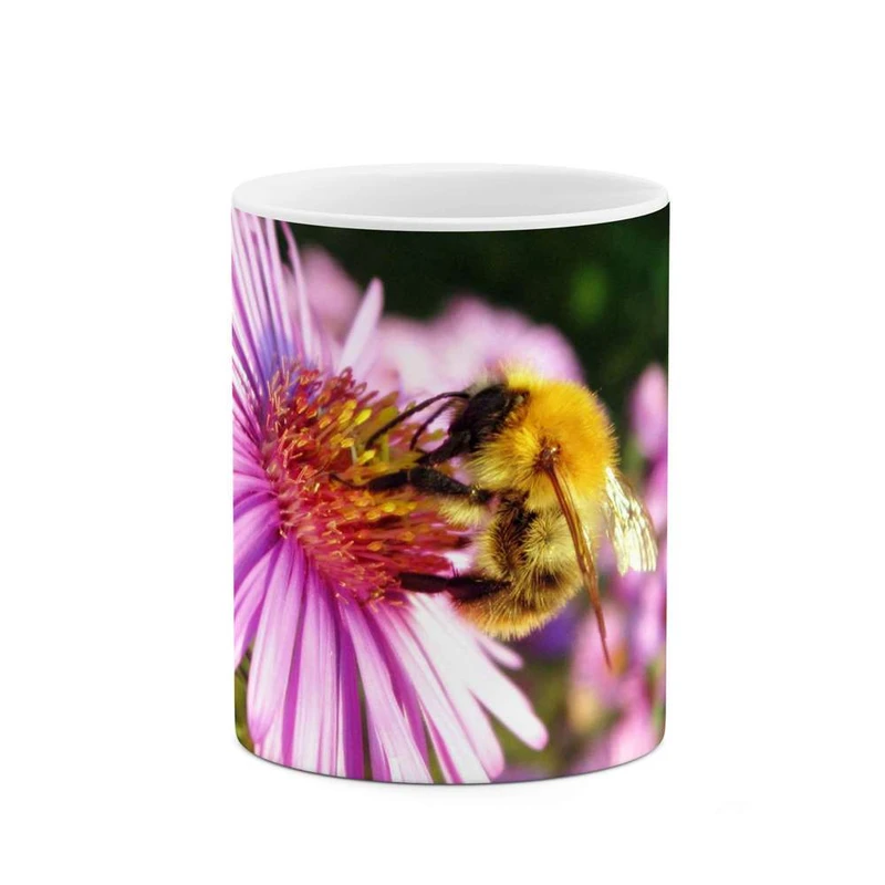 ماگ کاکتی مدل گل کد mgh12093