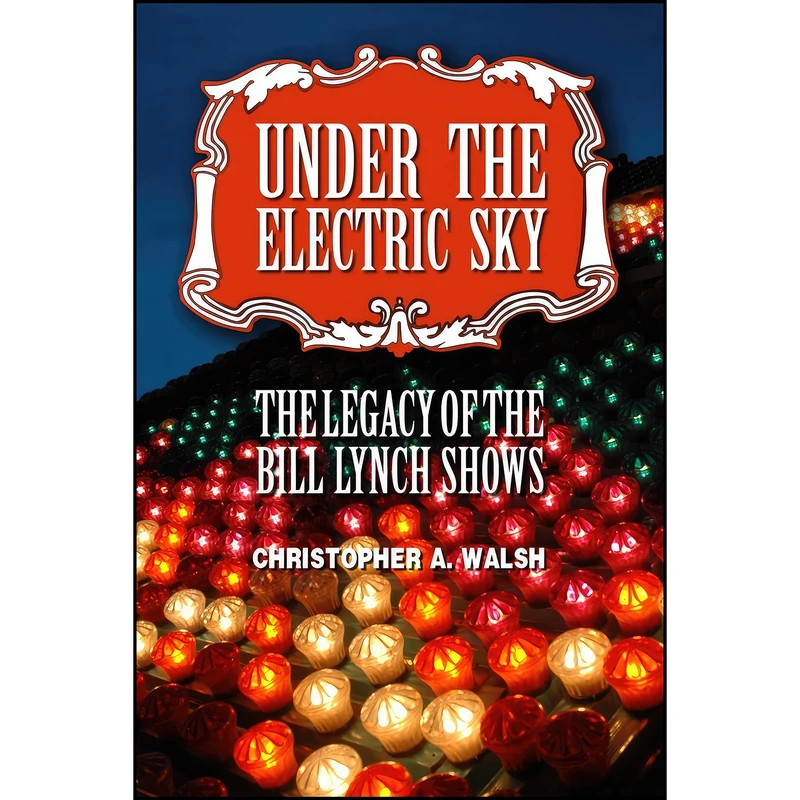 کتاب Under the Electric Sky اثر Christopher A. Walsh انتشارات Pottersfield Pr