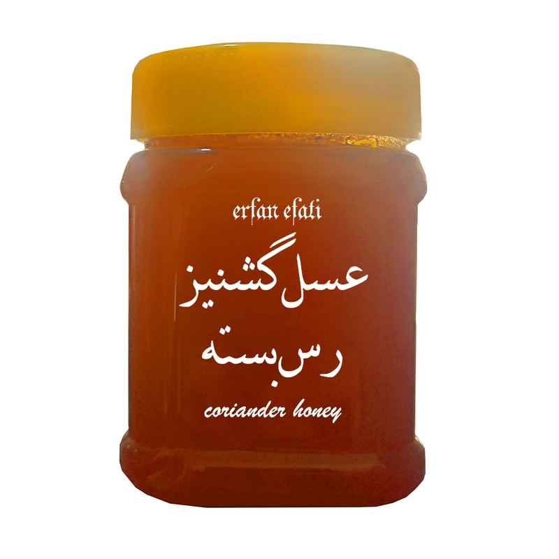 عسل گشنیز رس بسته بدون تغذیه کل چرمی - 500 گرم
