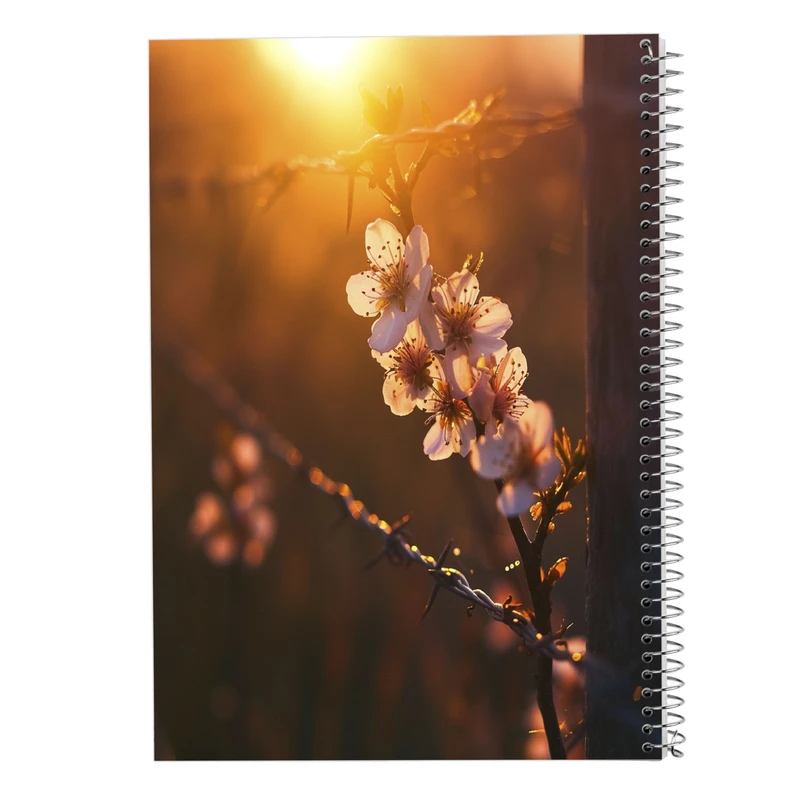 دفتر شطرنجی 50 برگ مدوپد مدل بهار کد DF13391