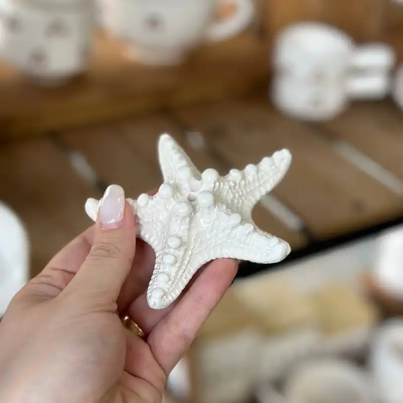 جا عودی مدل ستاره دریایی