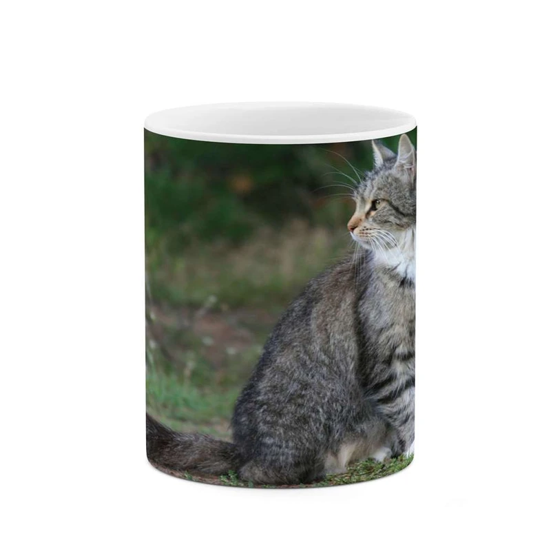 ماگ کاکتی مدل گربه کد mgh10905