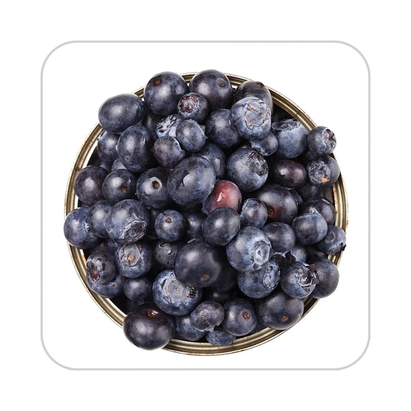 زیر لیوانی کاکتی طرح میوه مدل mp20470