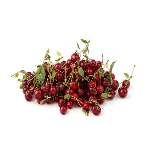 آلبالو پیوندی Fresh مقدار 500 گرم