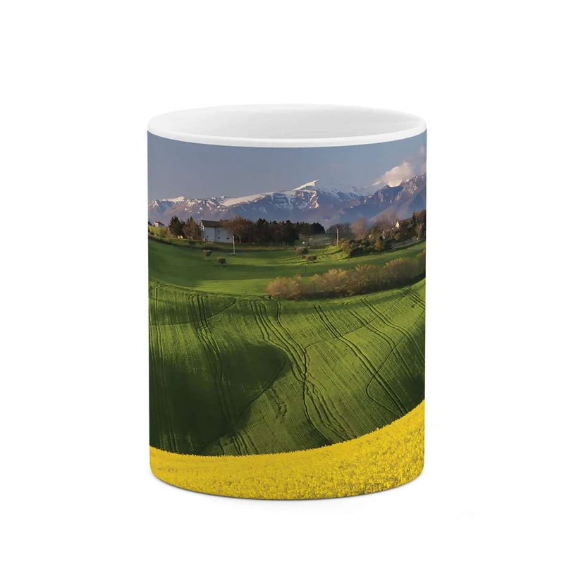 ماگ کاکتی مدل طبیعت کد mgh10182