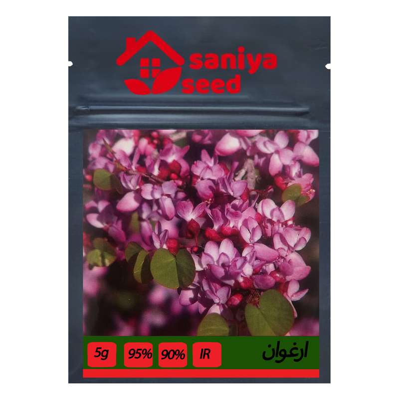 بذر بنسای ارغوان سانیا سید مدل D2