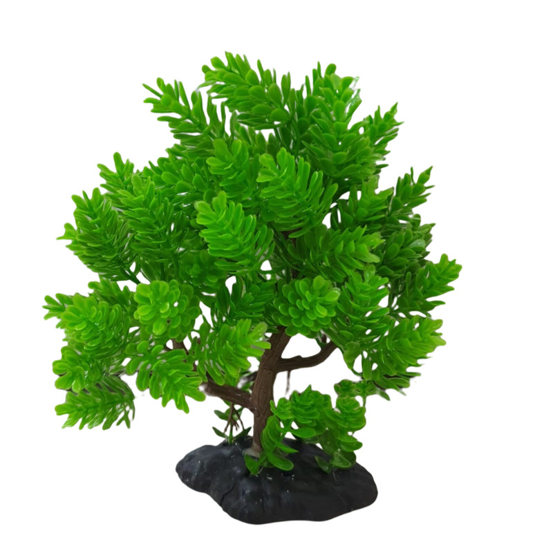 گیاه تزیینی آکواریوم مدل درختچه کد 1376