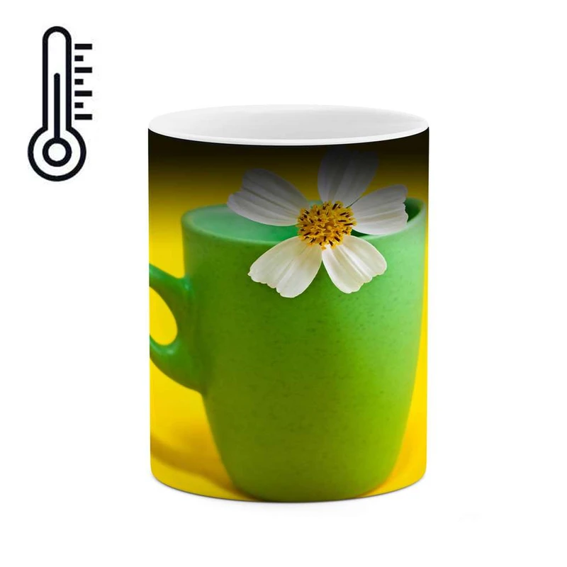 ماگ حرارتی کاکتی مدل گل کد mgh12073