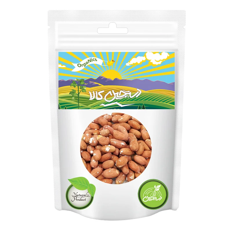 بادام زمینی آستانه اشرفیه با طعم نمک دستچین کالا - 350 گرم