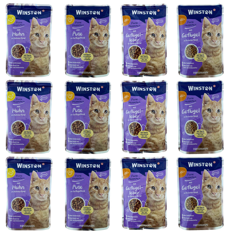 پوج گربه وینستون مدل چهار طعم مجموعه 12 عددی