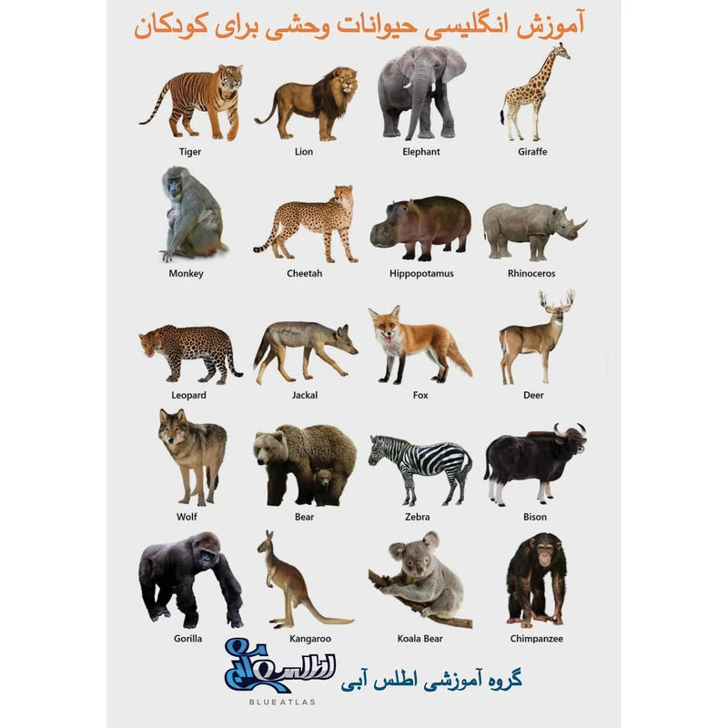 بازی آموزشی انگلیسی اطلس آبی طرح حیوانات وحشی مدل TE1010