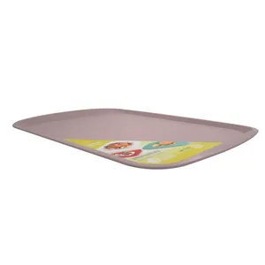 سینی اشکان مدل روشا کد 8000
